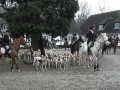 Heste og hunde samles